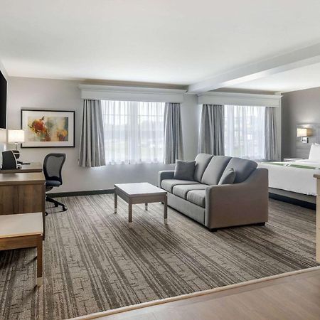 Quality Inn & Suites Amsterdam Fredericton Eksteriør bilde