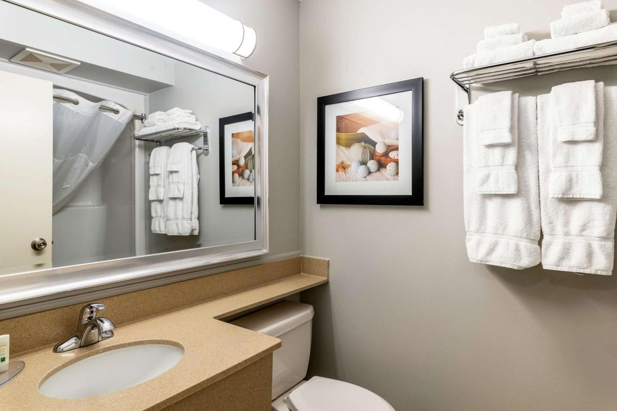 Quality Inn & Suites Amsterdam Fredericton Eksteriør bilde
