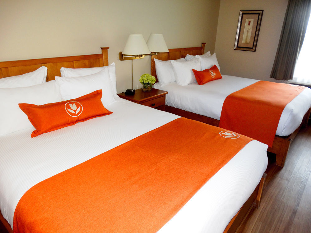 Quality Inn & Suites Amsterdam Fredericton Eksteriør bilde