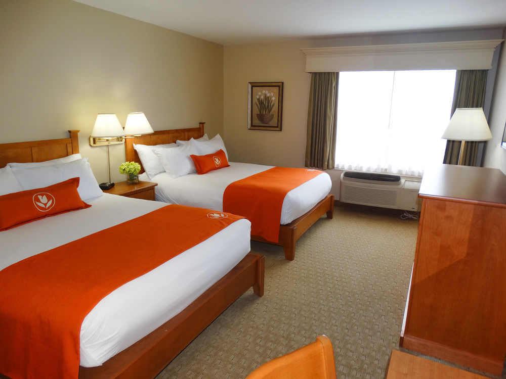 Quality Inn & Suites Amsterdam Fredericton Eksteriør bilde
